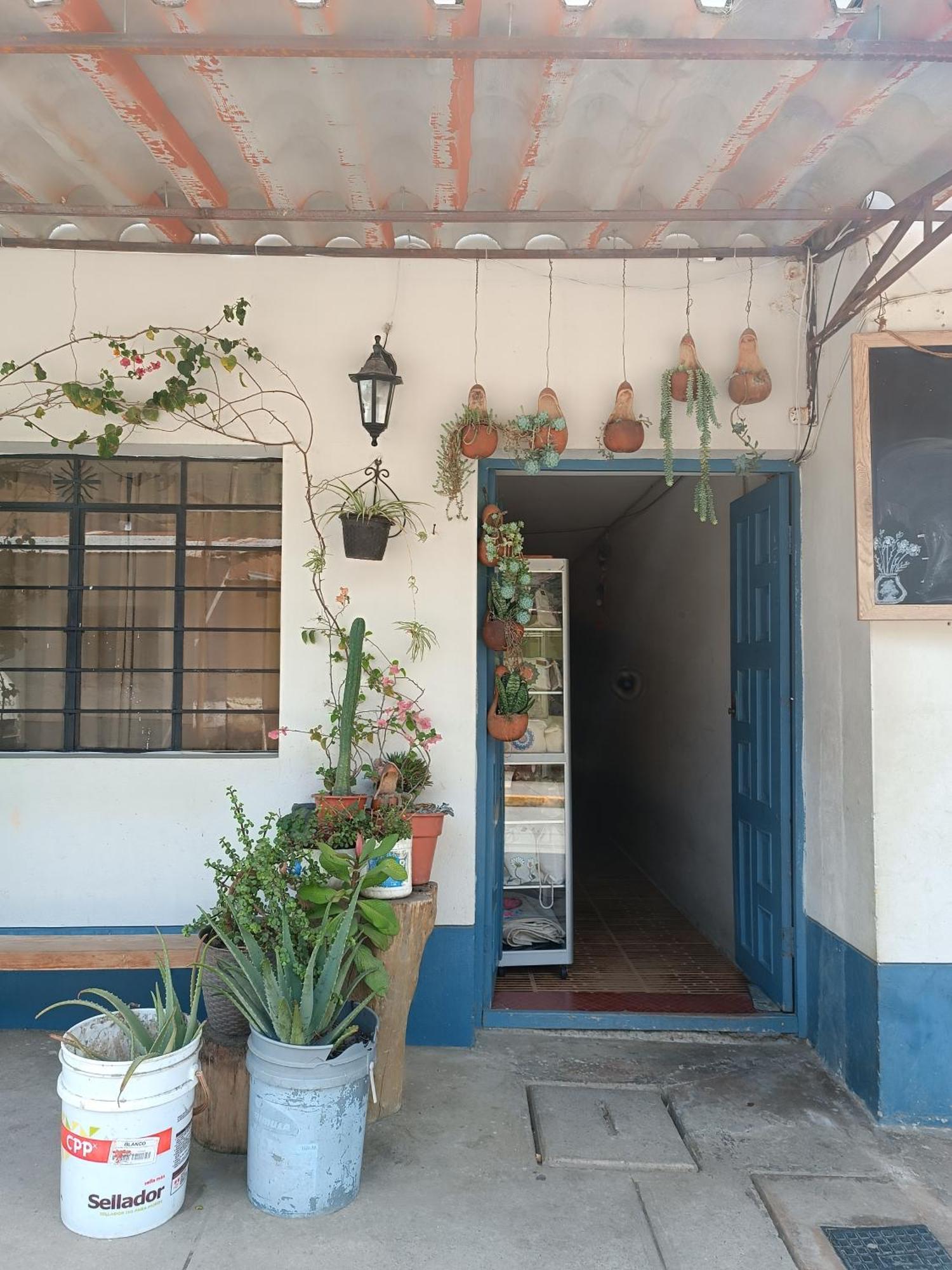 Hospedaje Quillabamba Santa Teresa  Exterior photo